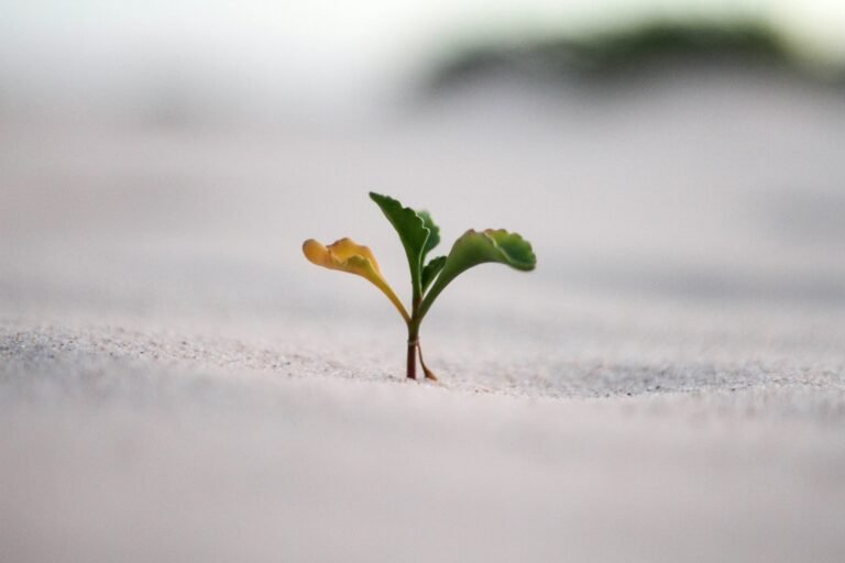 Best Ways to Reset Your Mindset for a Fresh Start